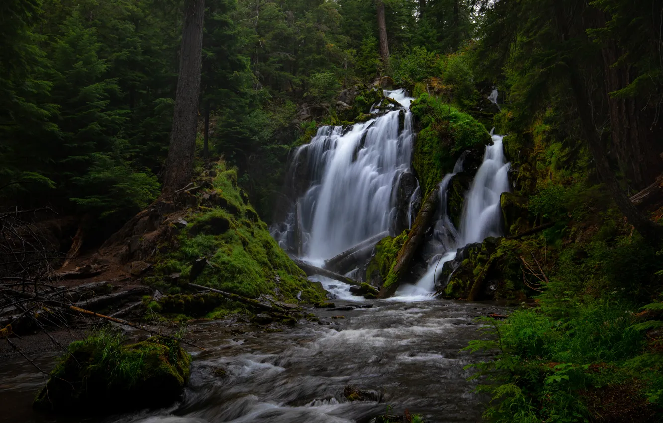 Фото обои лес, река, водопад, Орегон, каскад, Oregon, National Creek Falls