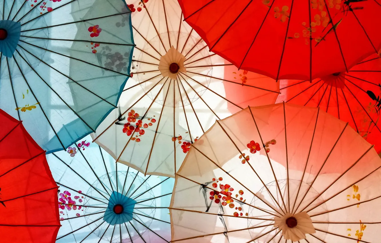 Фото обои фон, цвет, зонты