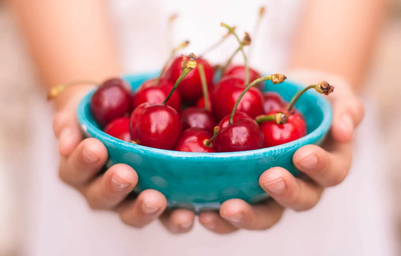 Фото обои food, fruit, hands, cherries, bowl, freshness, healthy food