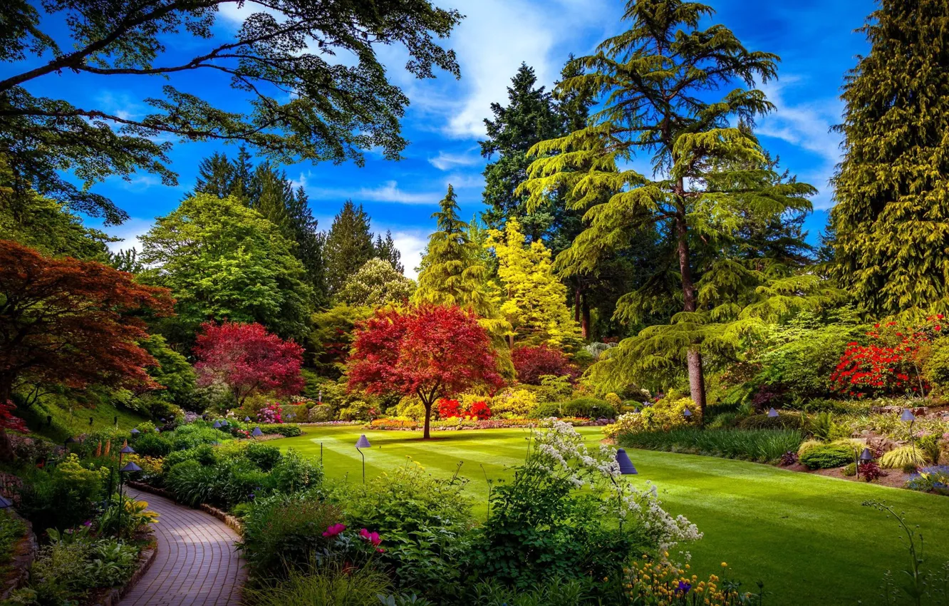 Фото обои trees, flowers, garden