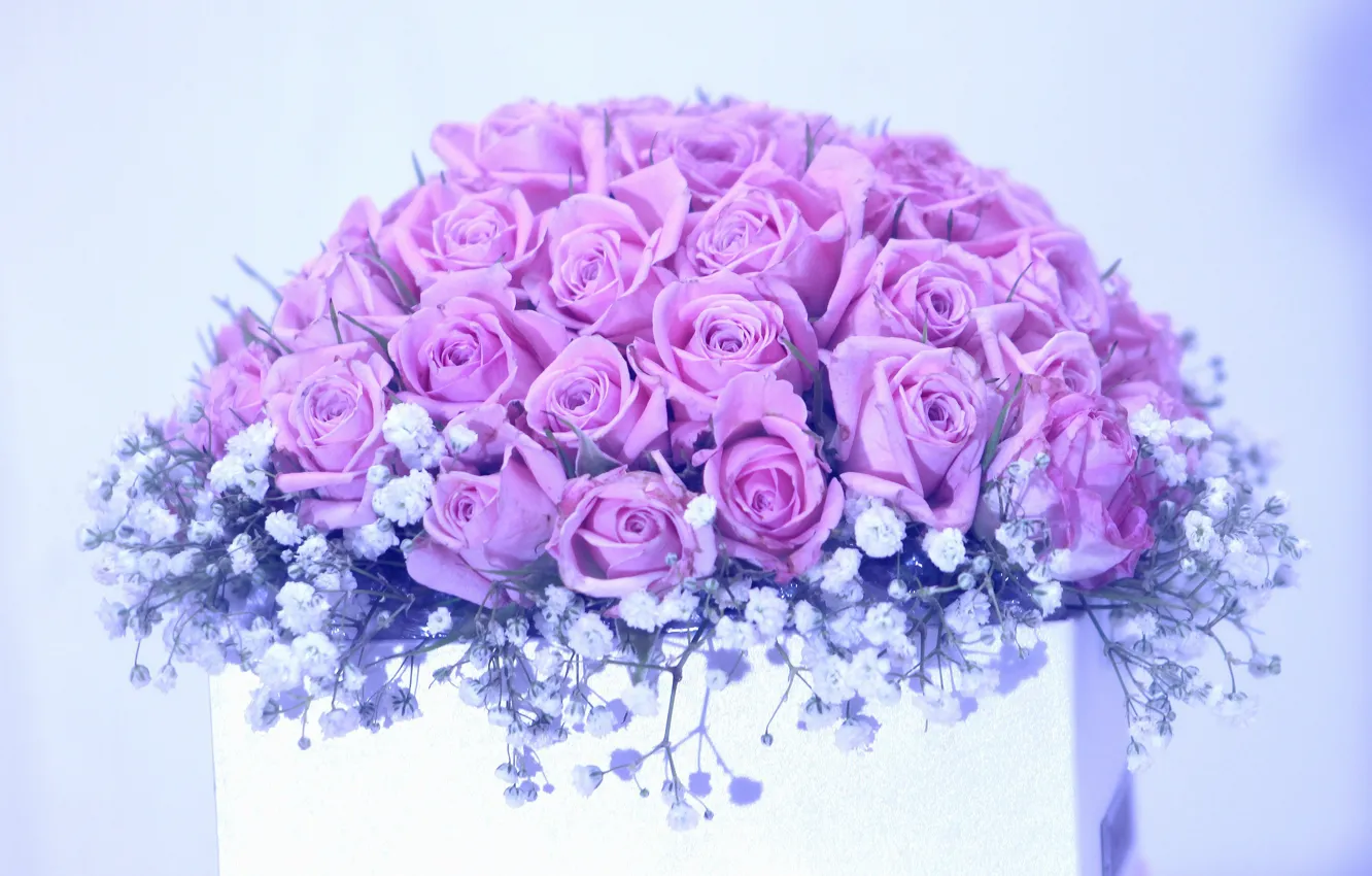 Фото обои цветы, коробка, розы, букет, розовые, светлый фон, сиреневые