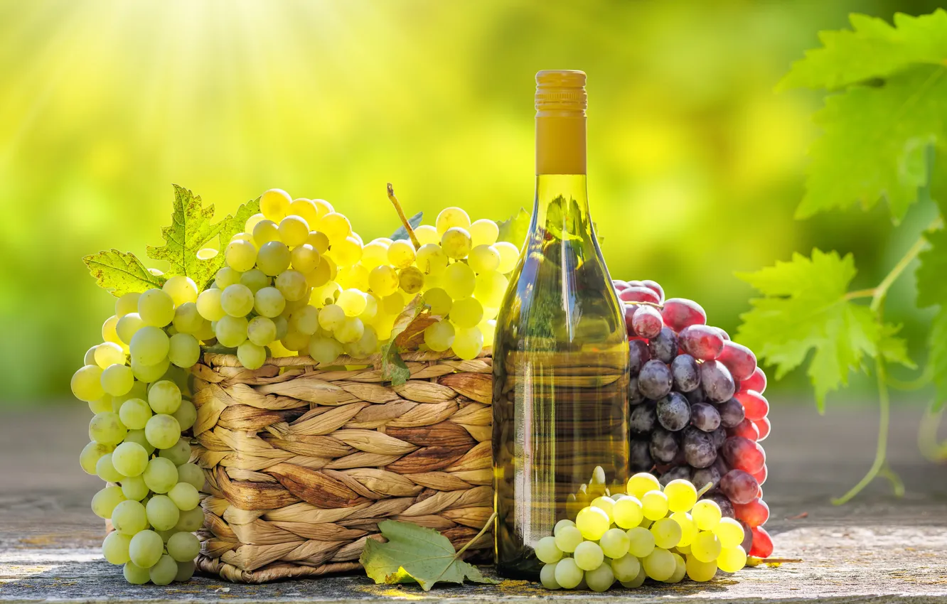 Фото обои green, summer, landscape, nature, wine, autumn, leaves, fruit