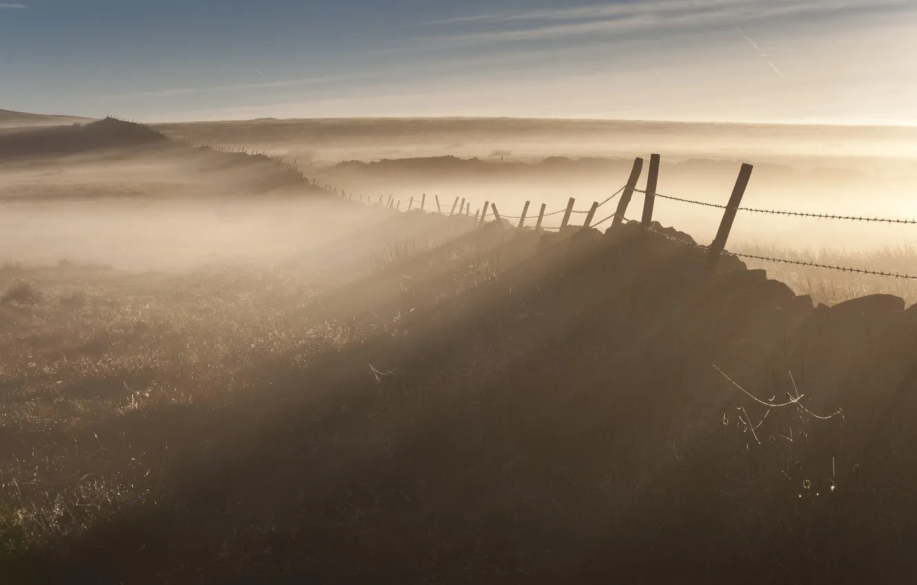 Фото обои поле, туман, забор, утро