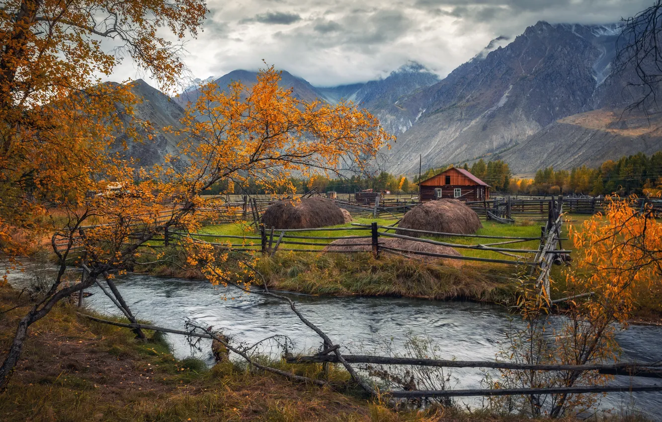 Фото обои пейзаж, природа, река, Горный Алтай, Лора Павлова, село Аргут