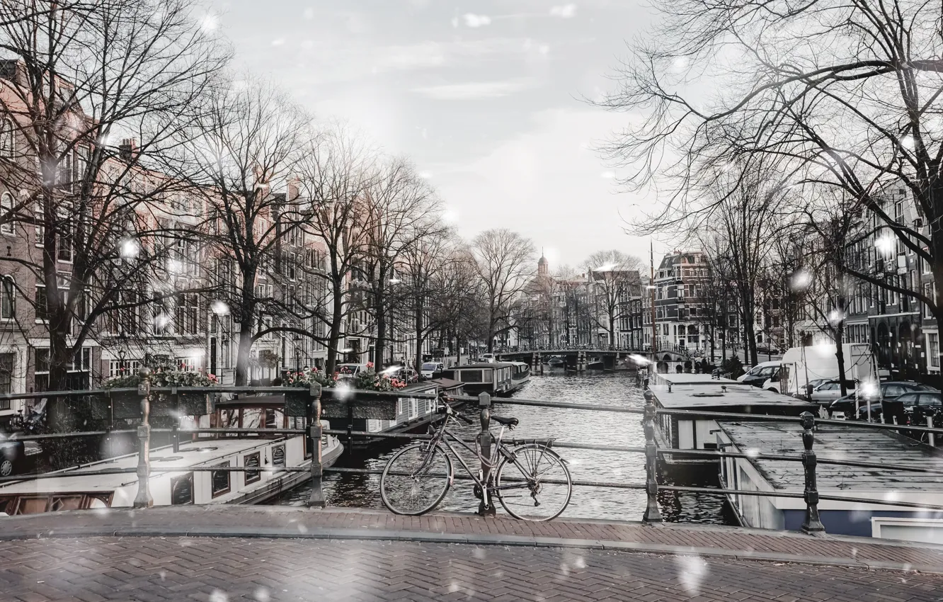 Фото обои деревья, мост, река, улица, Зима, Снег, Амстердам