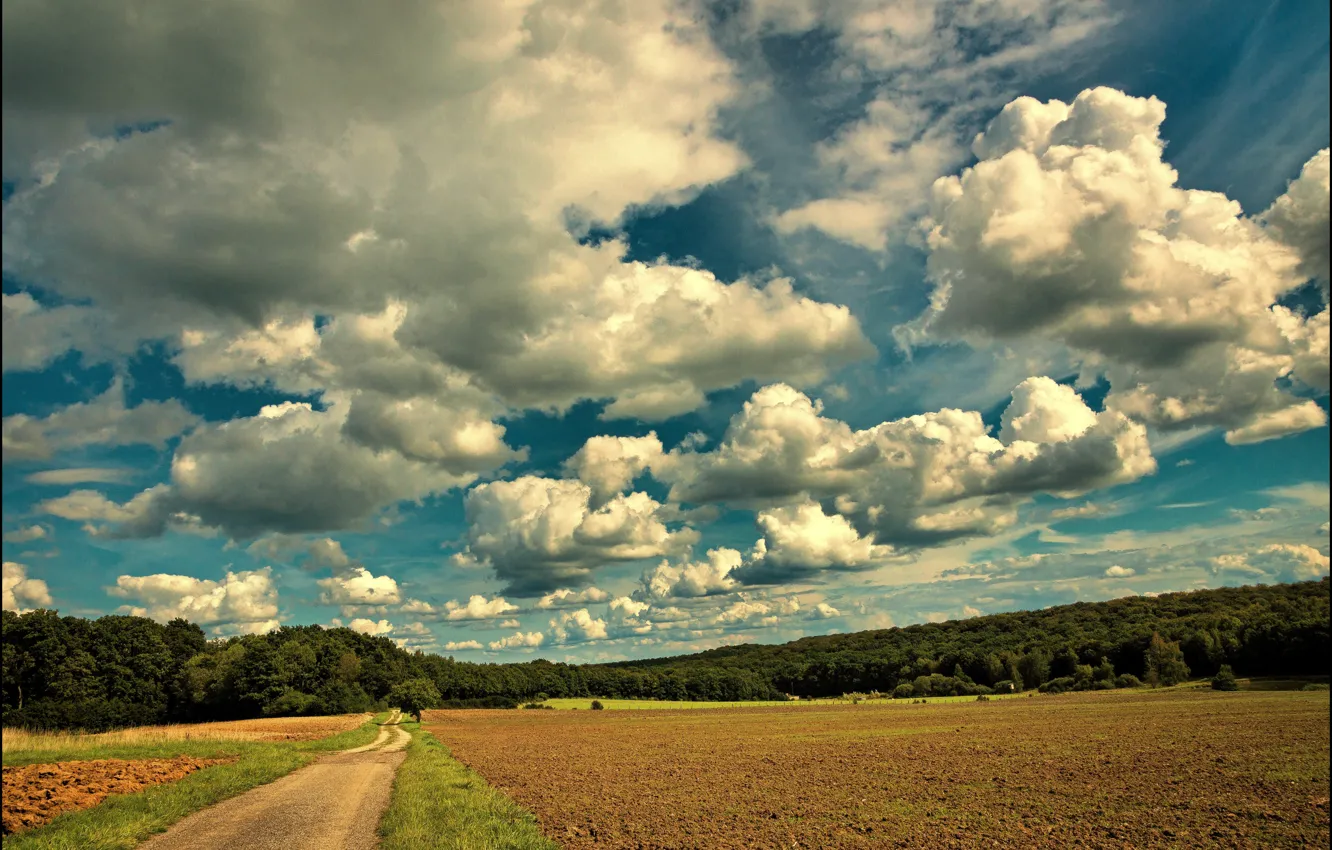 Фото обои дорога, облака, Поле, road, field, clouds