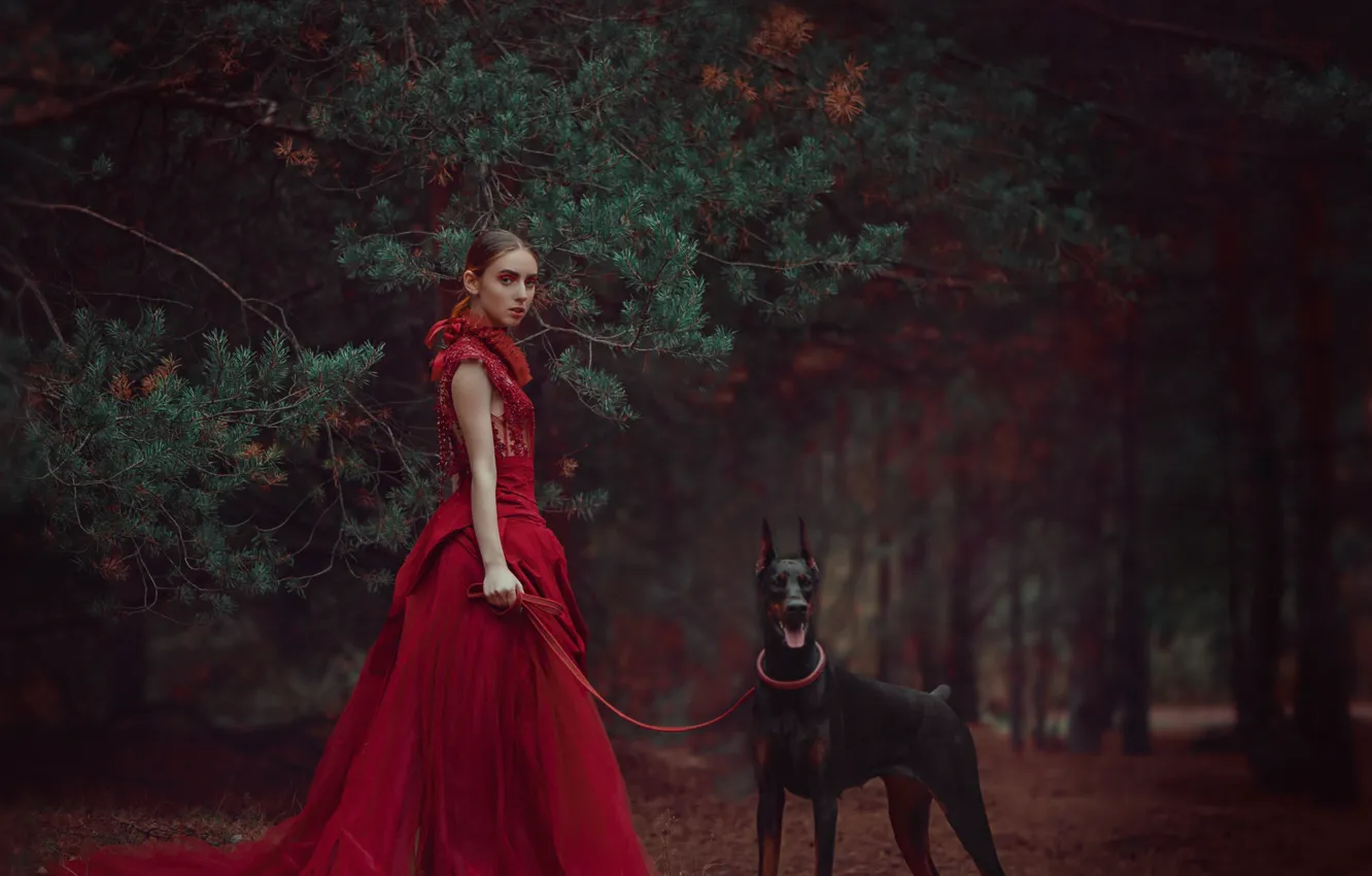 Фото обои лес, девушка, ветки, стиль, собака, платье, красное платье, сосна