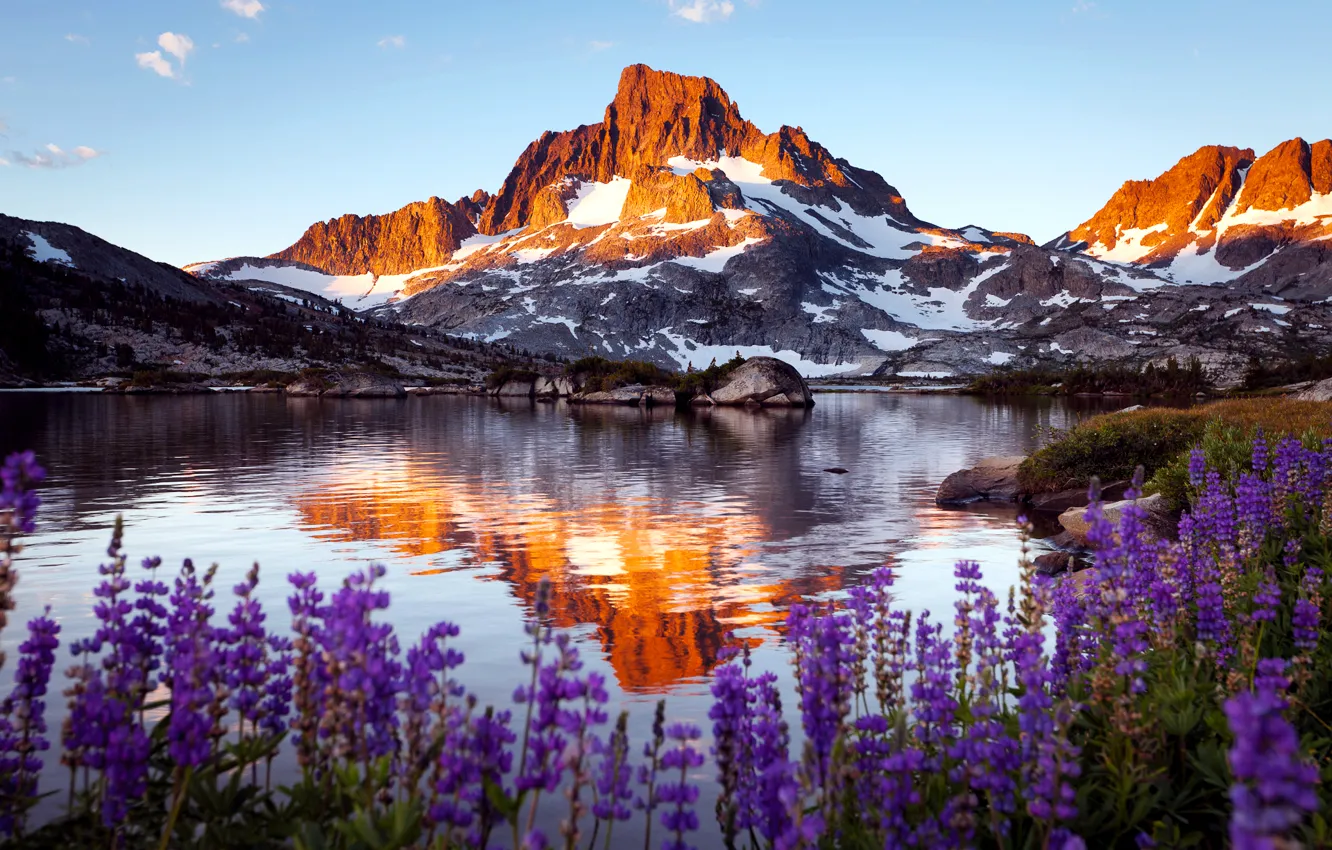 Фото обои цветы, скала, озеро, гора