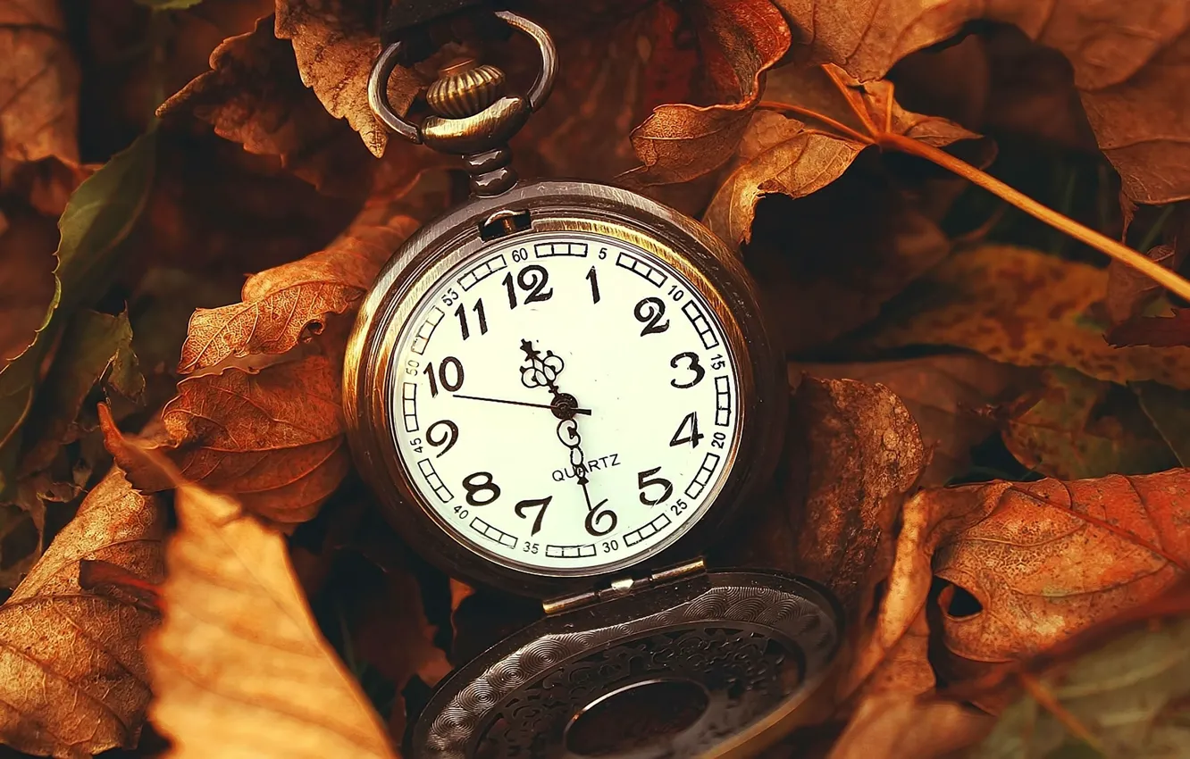 Фото обои листья, часы, сухие, клен, vintage, винтаж, карманные часы, pocket watch