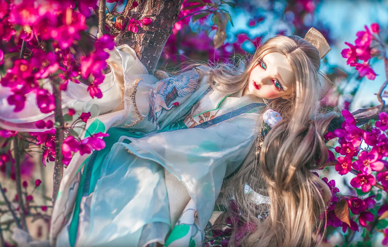 Фото обои игрушка, кукла, кимоно, цветение, цветки
