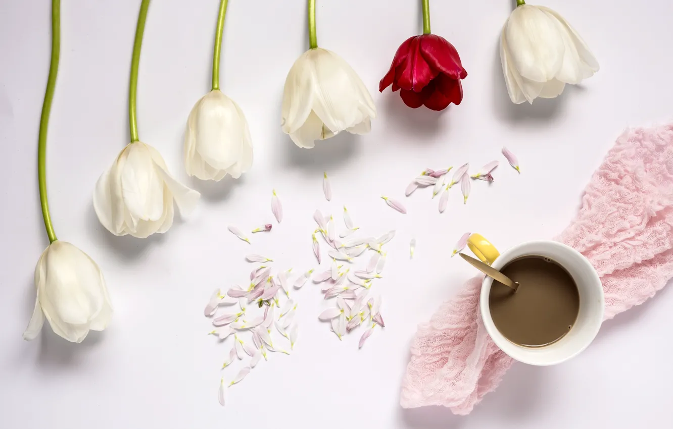 Фото обои цветы, тюльпаны, red, white, белые, wood, flowers, cup