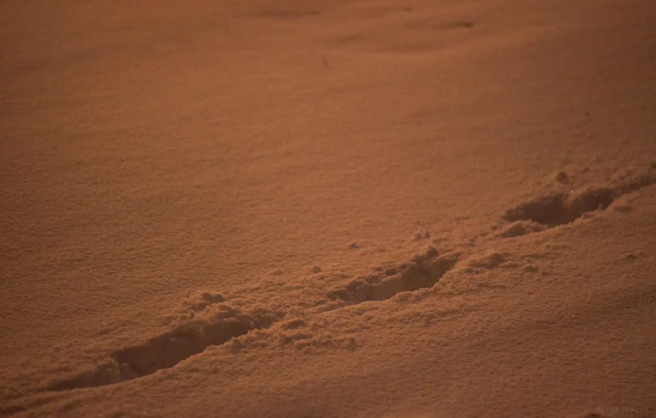 Фото обои зима, снег, следы, новый год, сугроб, шаги, kportfolio, insta:kportfolio