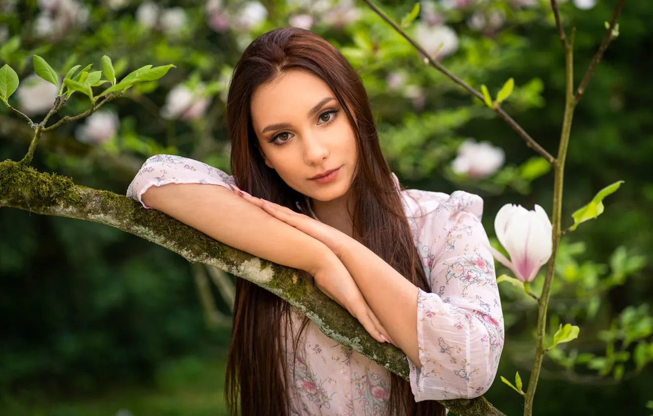 Фото обои взгляд, девушка, ветки, природа, брюнетка, цветки, магнолия