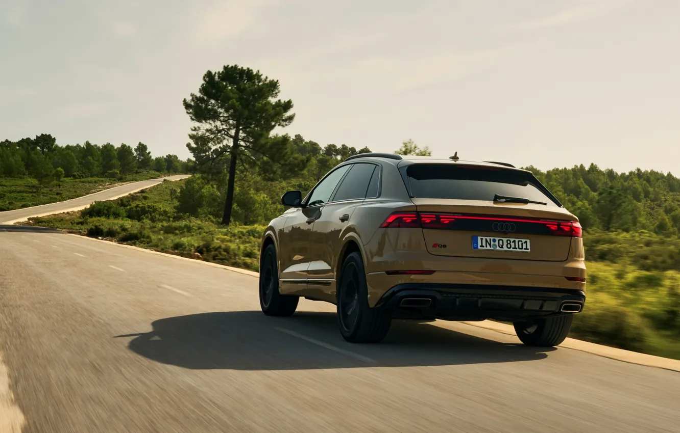 Фото обои Audi, rear view, Q8, Audi Q8 2024