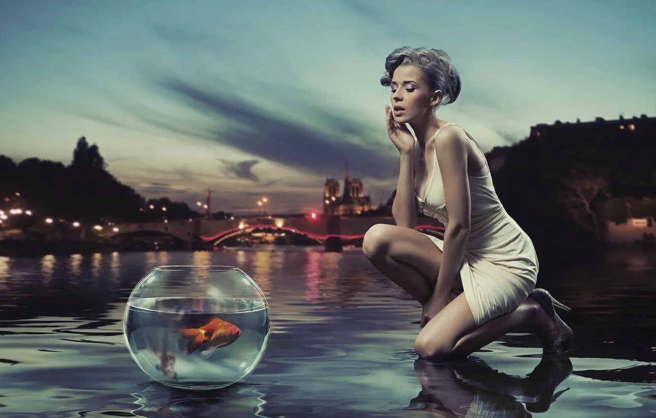 Фото обои девушка, мост, огни, отражение, аквариум, рыбка, блондинка, сумерки