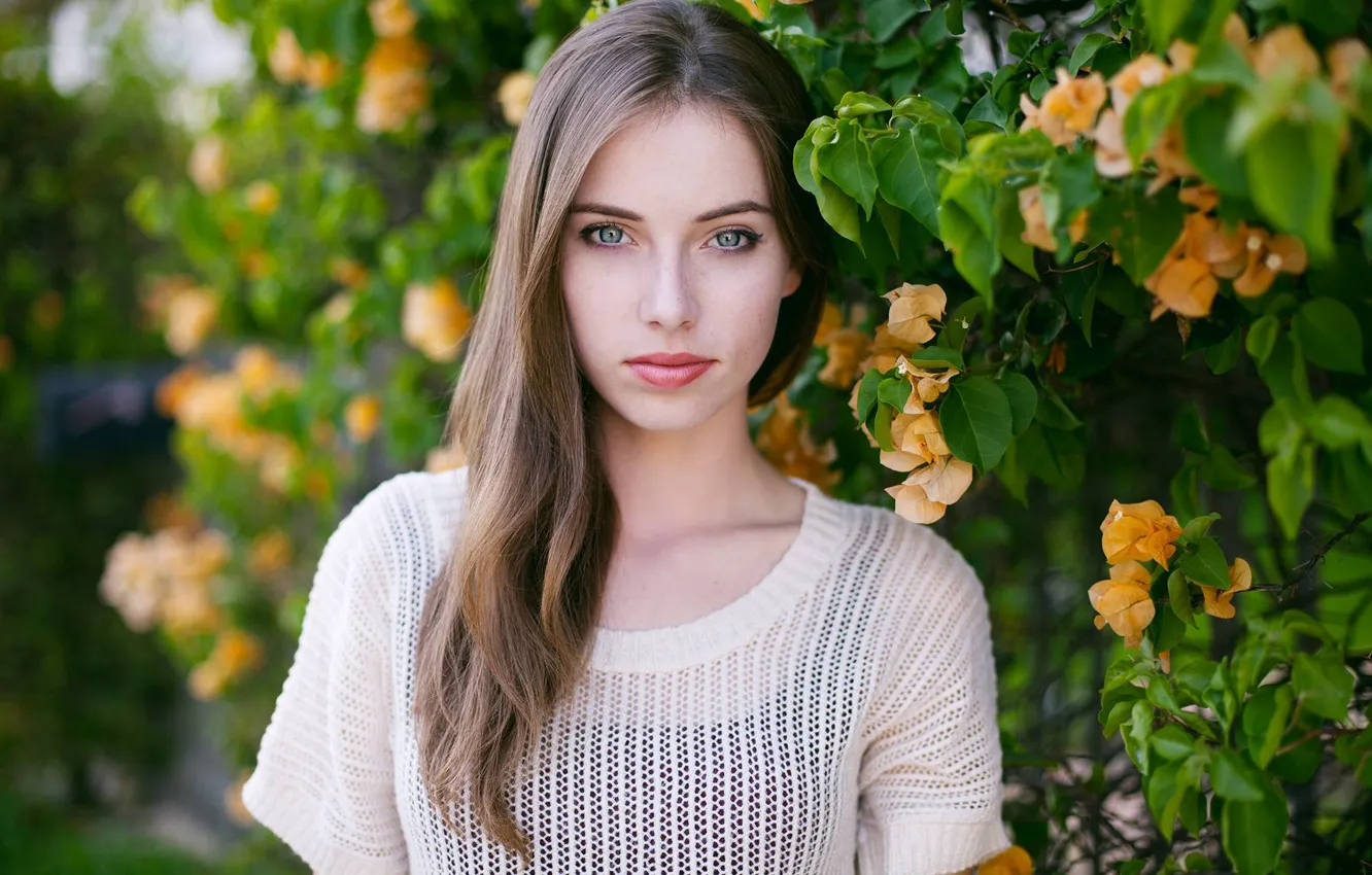 Фото обои взгляд, девушка, модель, Megan Coffey