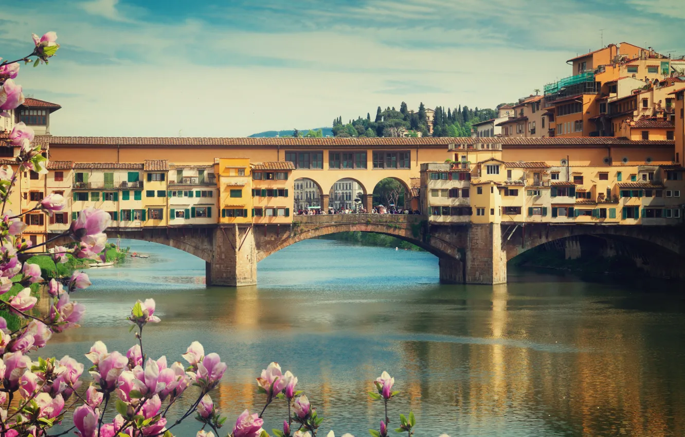 Фото обои мост, city, город, весна, Италия, Флоренция, цветение, Italy