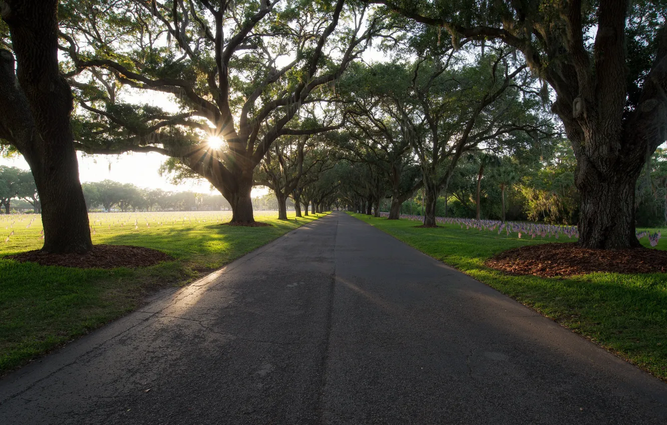 Фото обои United States, Florida, St. Petersburg, Hallowed Drive