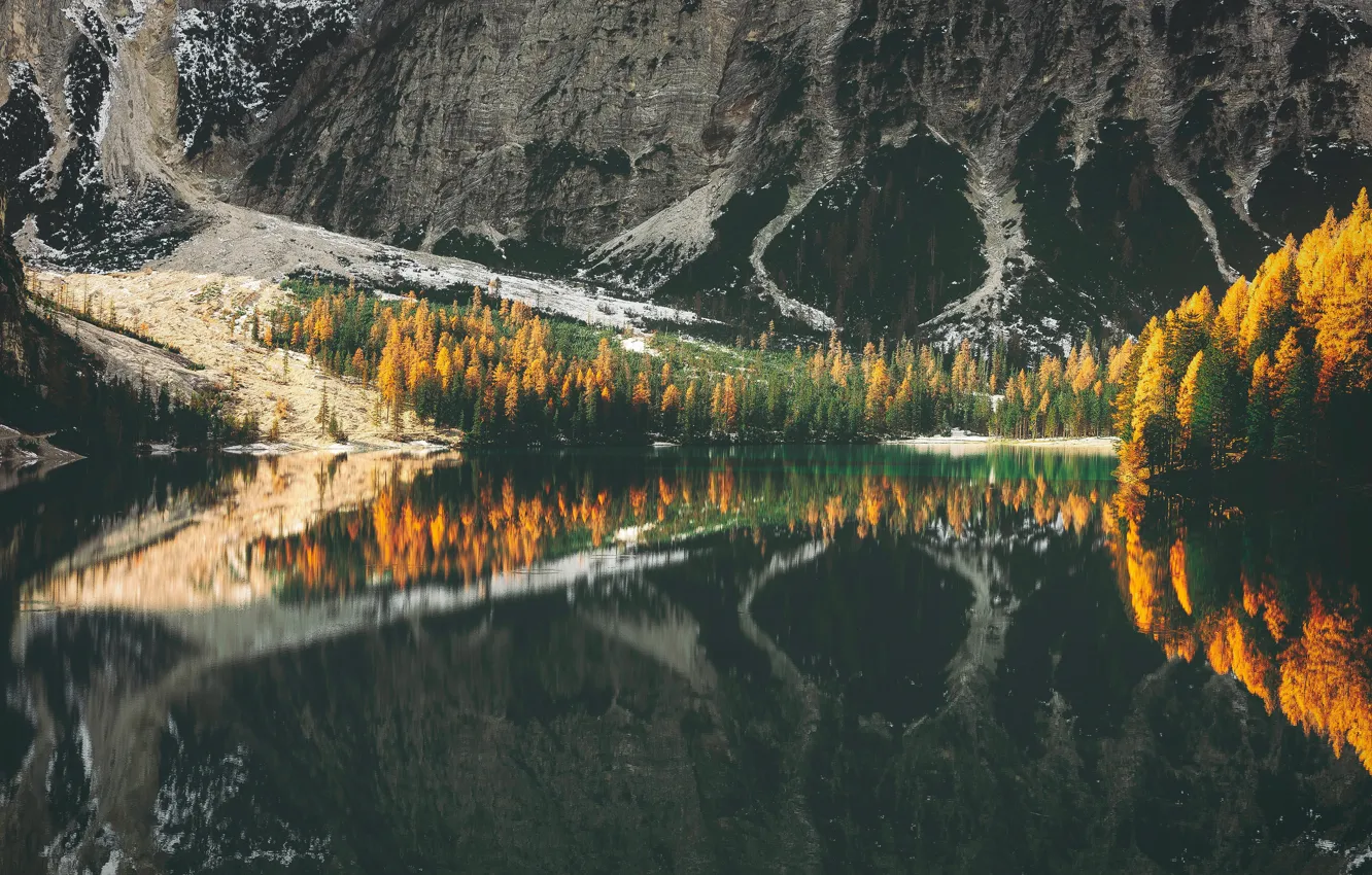 Фото обои осень, лес, снег, горы, озеро, отражение, скалы, берег