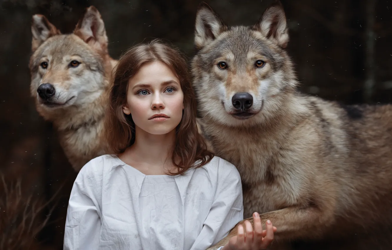 Фото обои девушка, волки, друзья, девушка и волки, Светлана Никотина