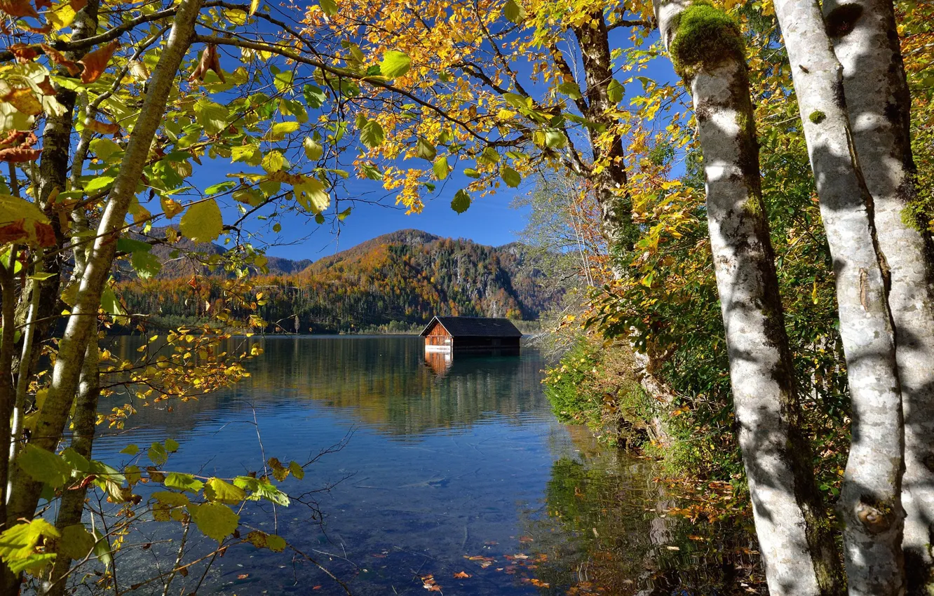 Фото обои осень, деревья, пейзаж, горы, природа, озеро, дом, Австрия