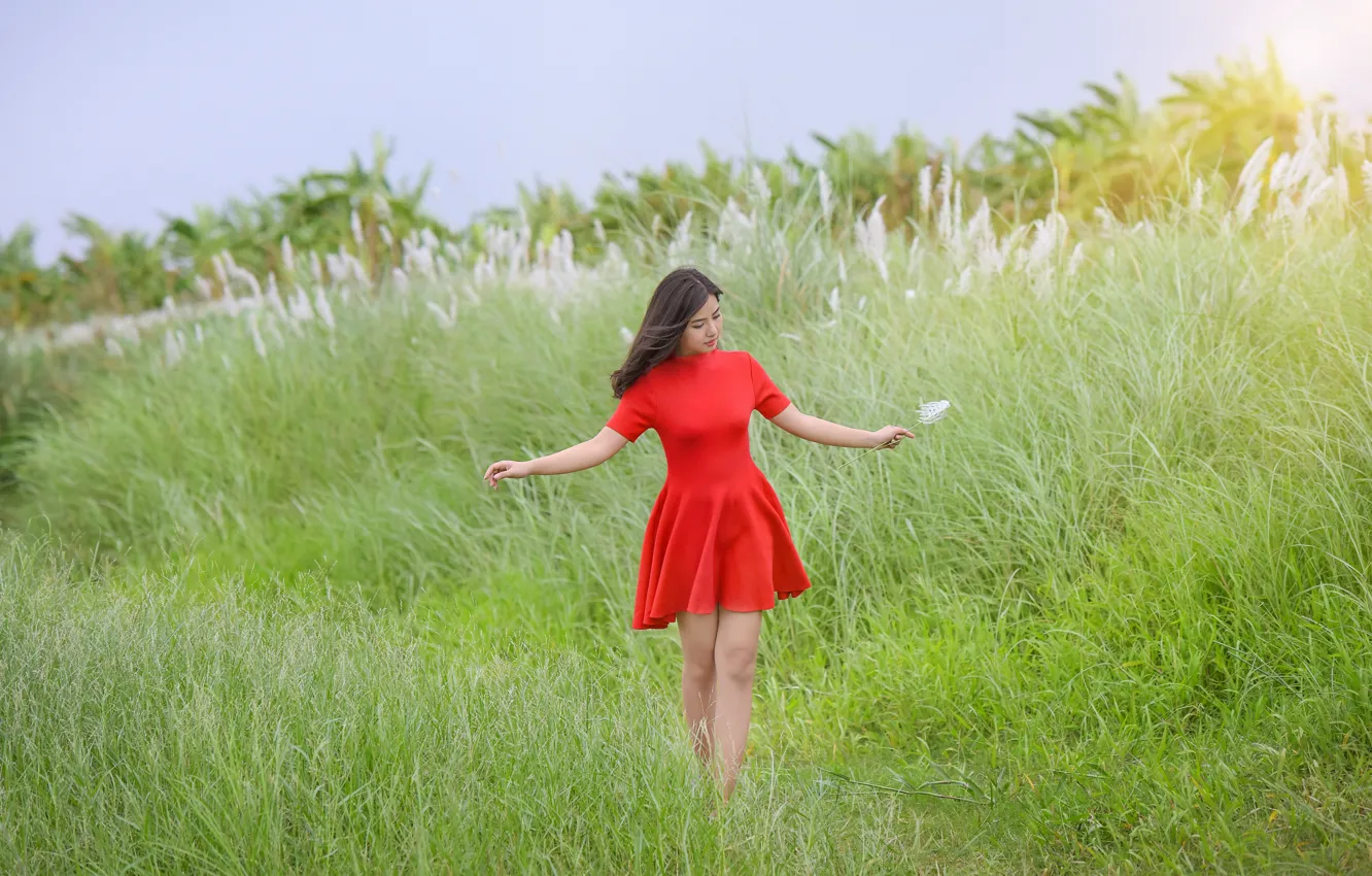 Фото обои поле, лето, девушка, красное, платье, азиатка