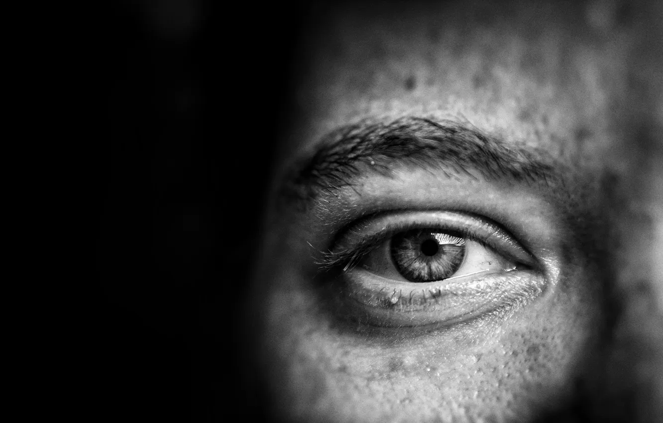 Фото обои eye, look, female