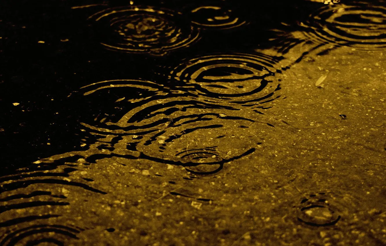 Фото обои дождик, вода, капли