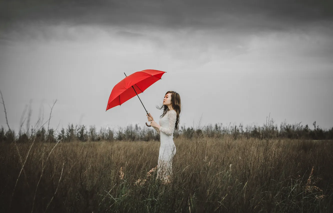 Фото обои гроза, поле, девушка, стебли, волосы, куст, платье, красный зонт