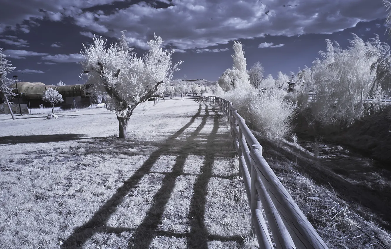 Фото обои пейзаж, природа, infrared