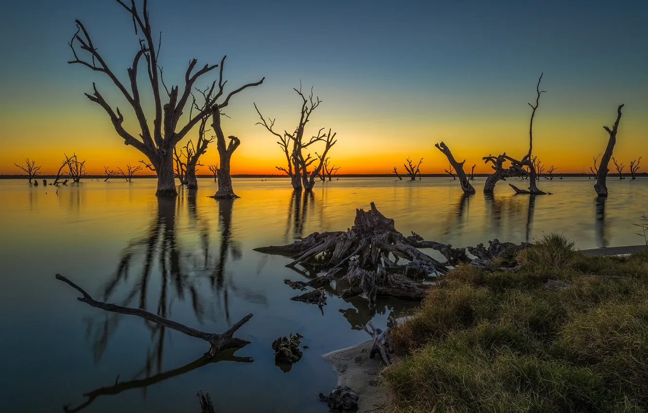 Фото обои небо, деревья, Австралия, зарево, озеро Бонни