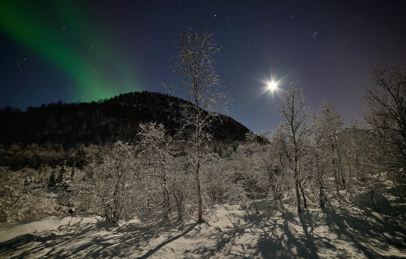Фото обои зима, лес, звезды, снег, деревья, горы, ночь, луна