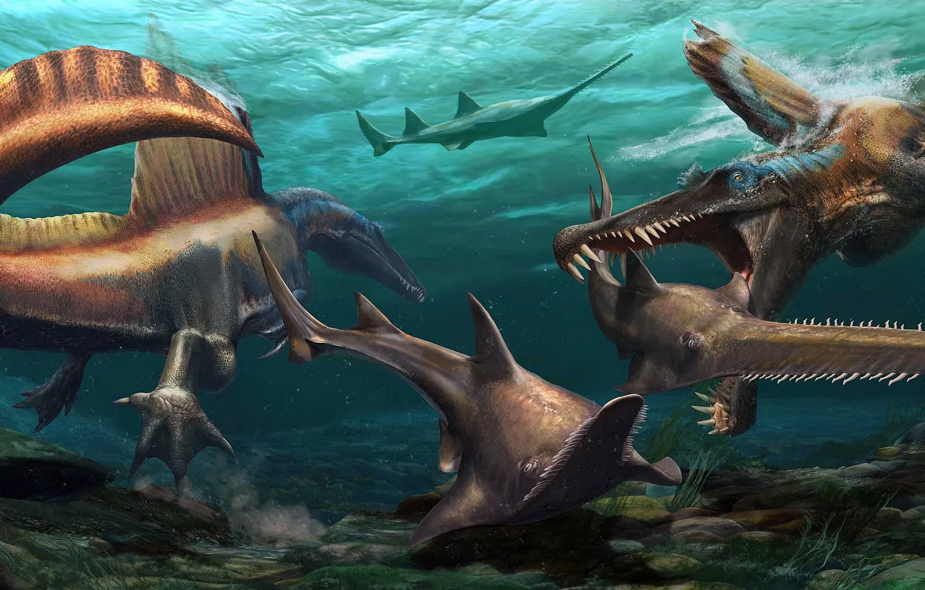 Фото обои Подводный мир, Охота, Динозавры, Спинозавр, Древние животные, Онхопристис, Доисторические морские животные, Spinosaurus aegyptiacu