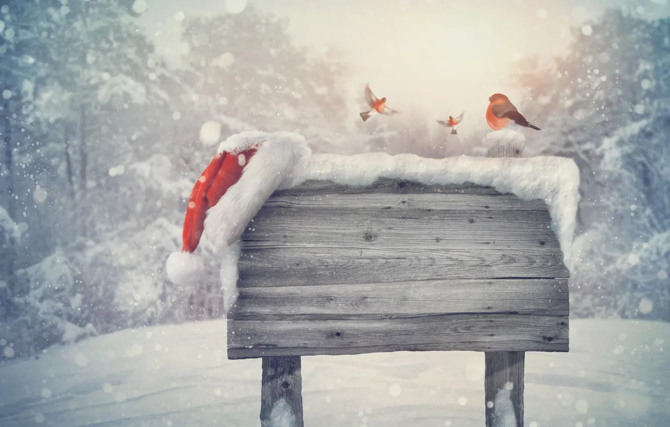 Фото обои зима, снег, пейзаж, природа, новый год, рождество