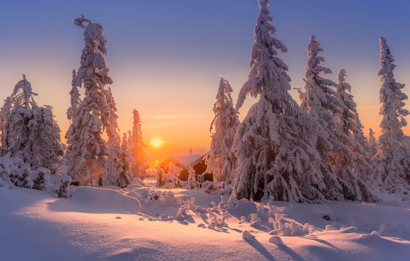 Фото обои зима, небо, снег, закат, елки, Jоrn Allan