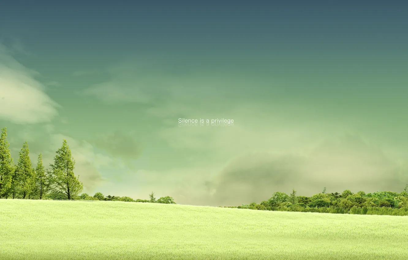 Фото обои поле, лето, деревья, настроение, надпись, silence is a privelege