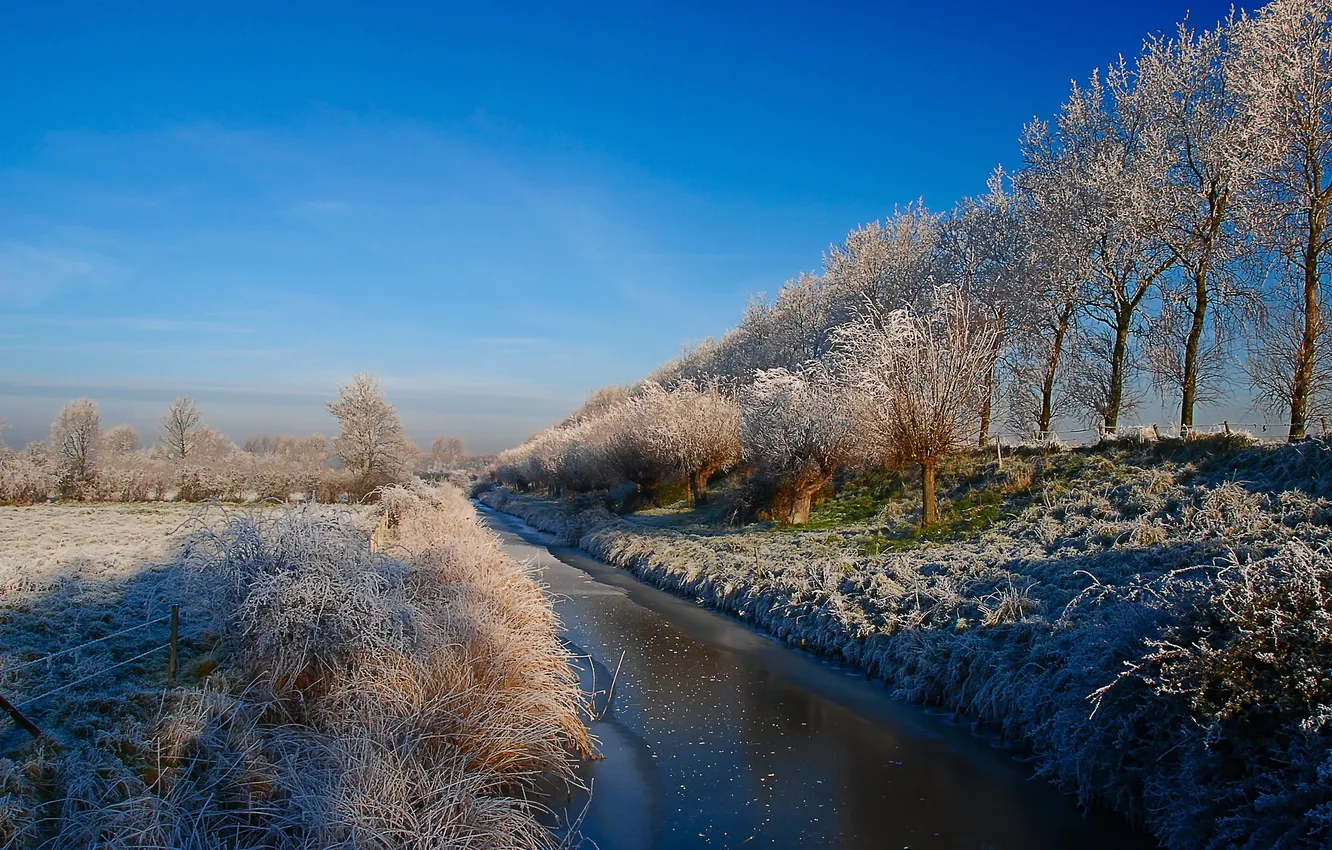 Фото обои зима, иней, поле, деревья, канал
