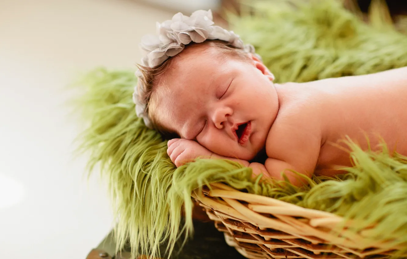 Фото обои корзина, ребенок, девочка, girl, child, baby, basket