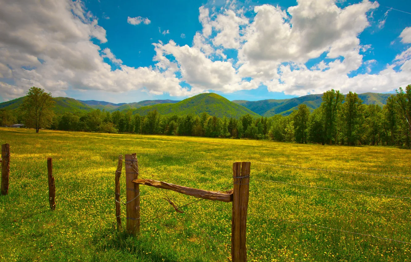 Фото обои зелень, лето, трава, облака, цветы, холмы, столбы, забор