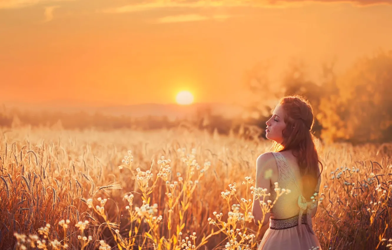 Фото обои поле, солнце, платье, рыжеволосая девушка