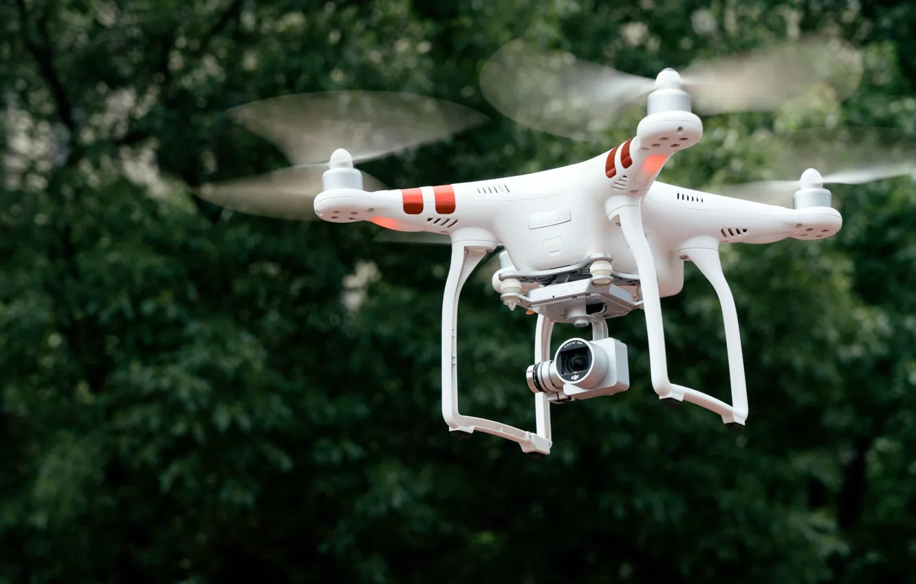 Фото обои trees, aviation, boke, wallpaper drone, videography