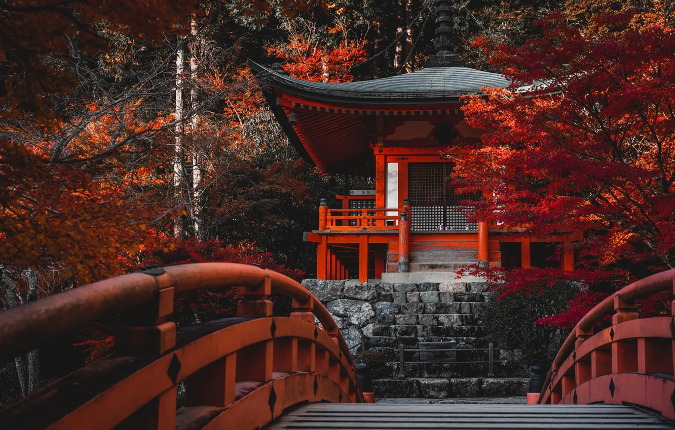 Фото обои осень, деревья, мост, Япония, храм, Japan, Kyoto, Киото