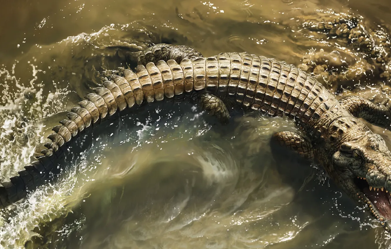 Фото обои Вода, Зубы, Пасть, Крокодил, Crocodile, Africa s deadliest, Хищники Африки