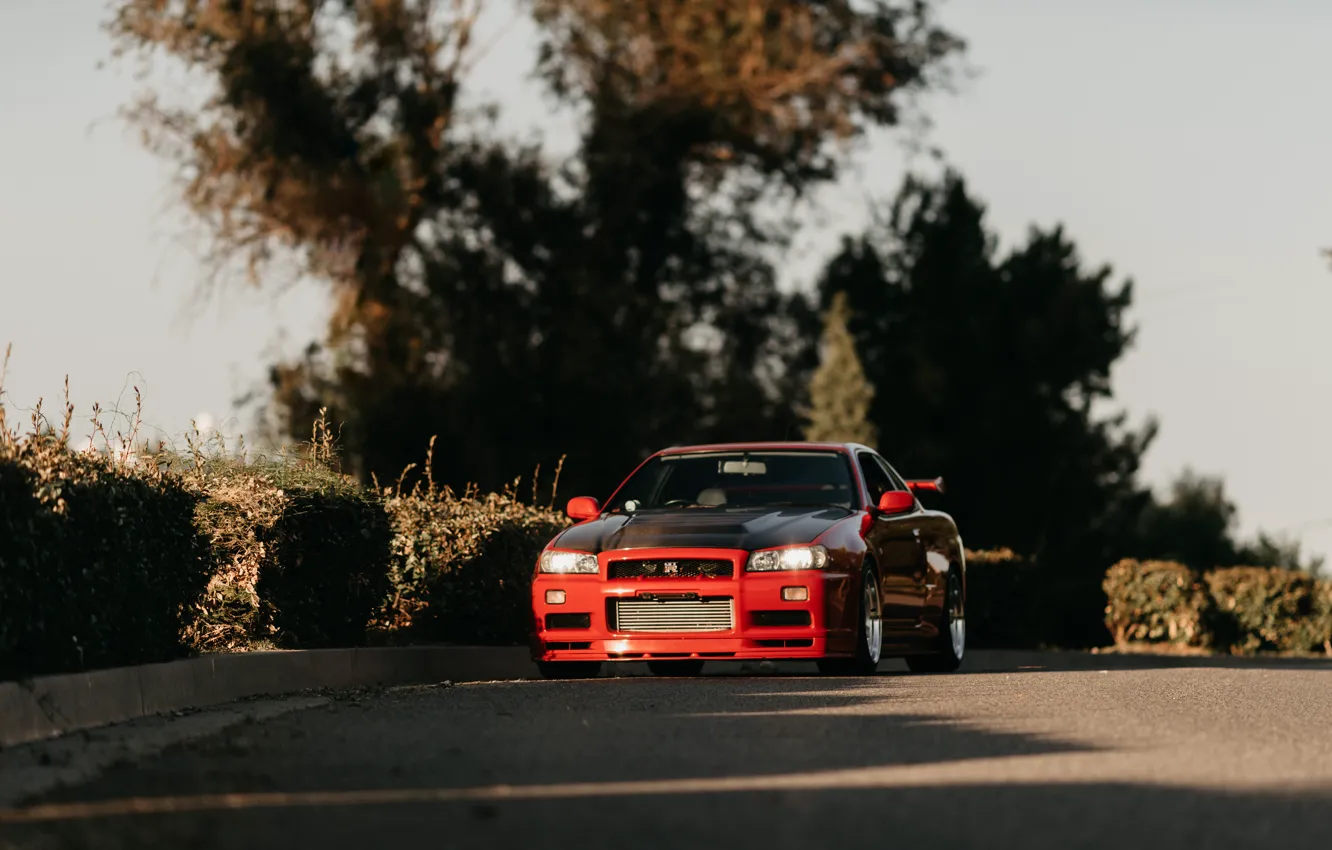 Фото обои GT-R, Skyline, Shadow, R34, Road, Trees