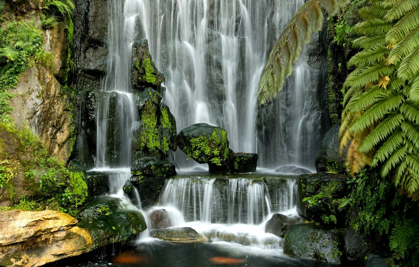 Фото обои зелень, вода, камни, водопад