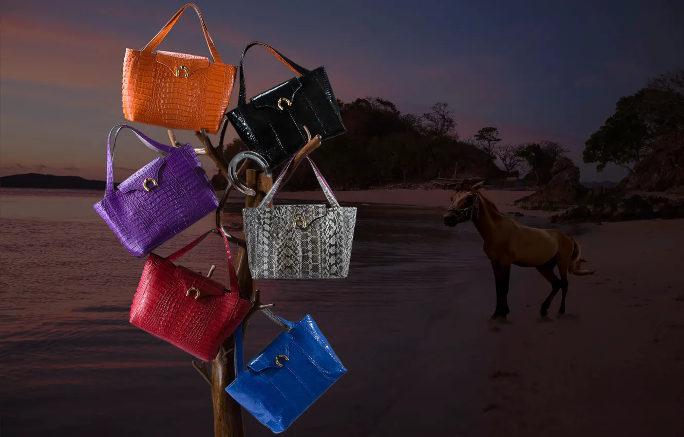 Фото обои concept, подковы, sea, sunset, collection, commercial, advertising, handbags
