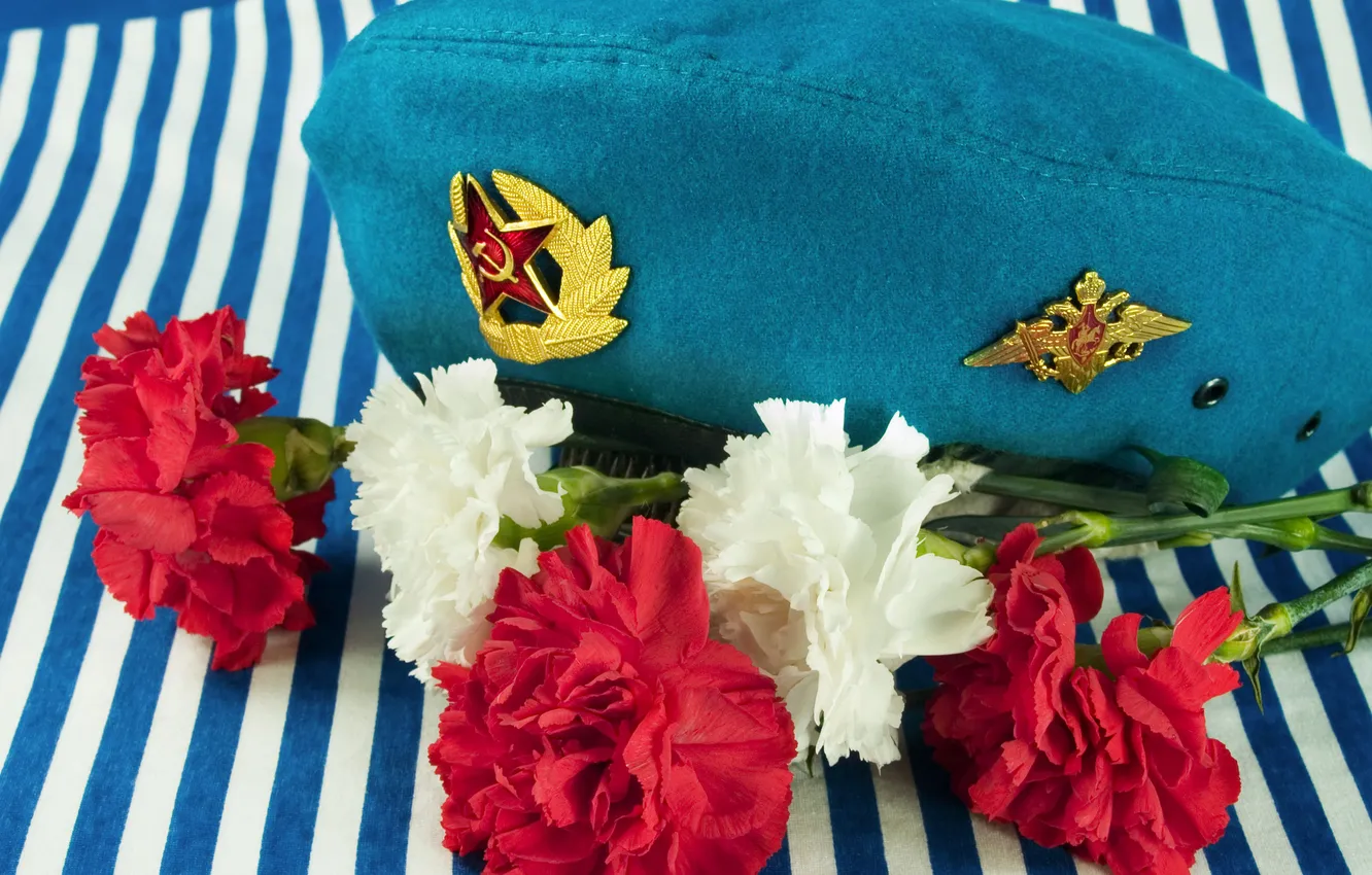 Фото обои цветы, тельняшка, гвоздики, голубой берет, память о службе