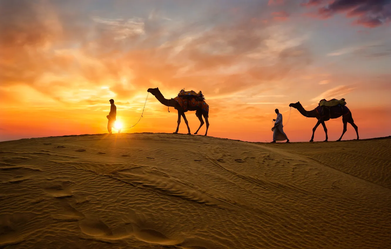 Фото обои desert, sand, safari, travel, india, camel, dunes, bedouin