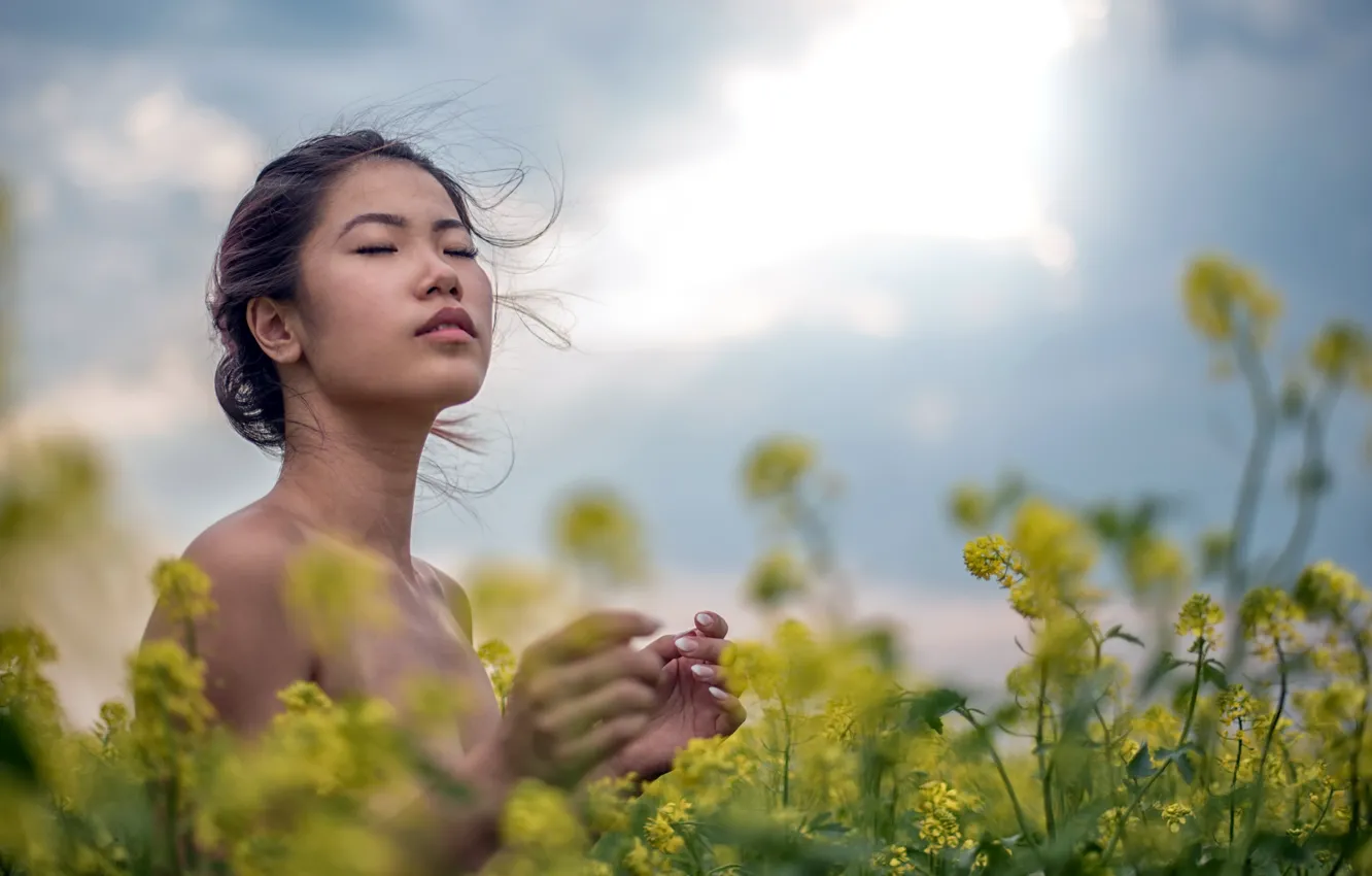 Фото обои лето, девушка, рапс