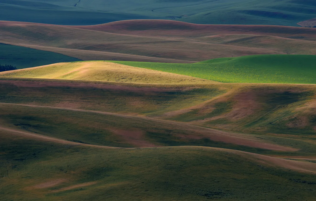 Фото обои холмы, поля, освещение